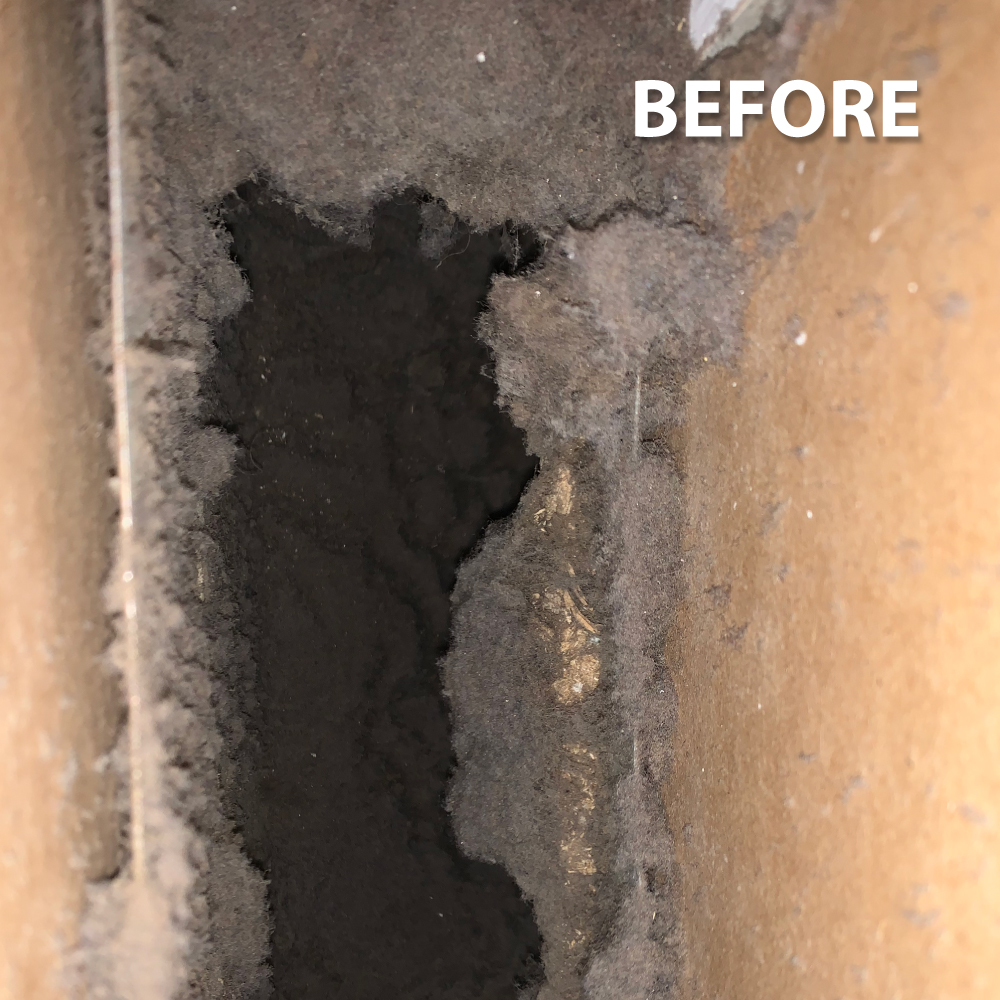 Air-Duct-Power-Before-After-Images-After1